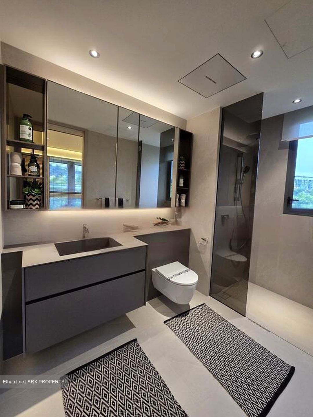 Havelock Road (D1), Apartment #462850061
